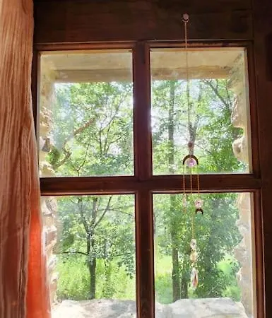 Maisonnette Avec Jardin Et Terrasse