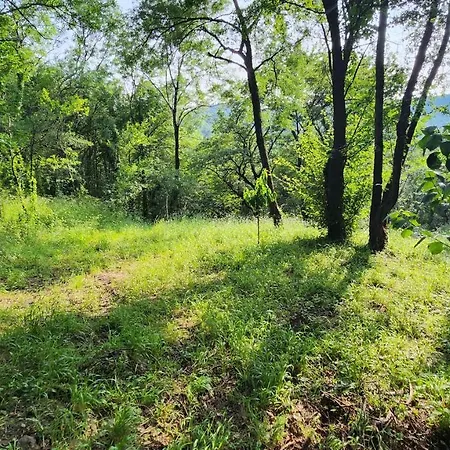 Maisonnette Avec Jardin Et Terrasse בית נופש *