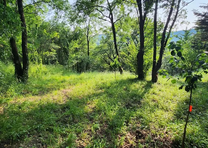 Maisonnette Avec Jardin Et Terrasse Dom wakacyjny *